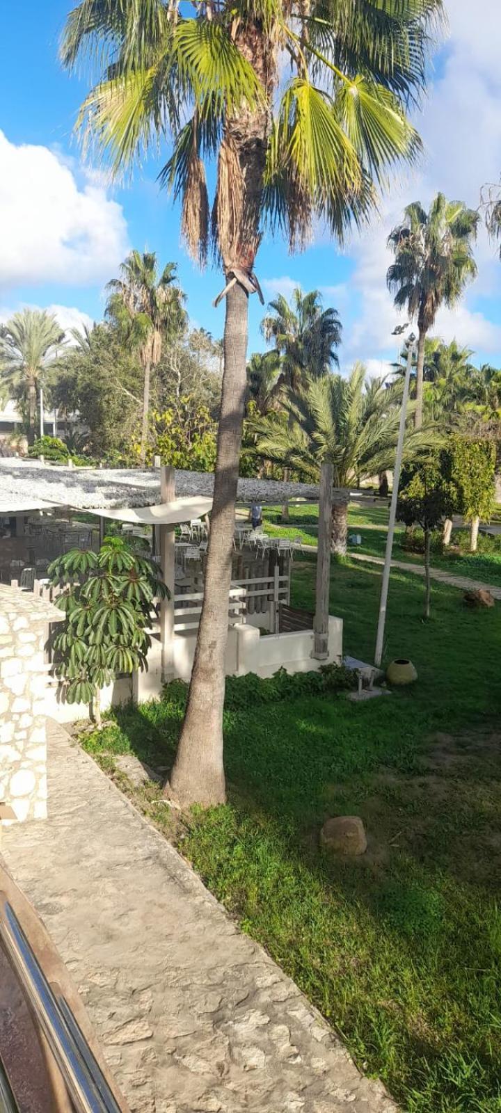 Apartamento Pepita Alay Benalmádena Exterior foto