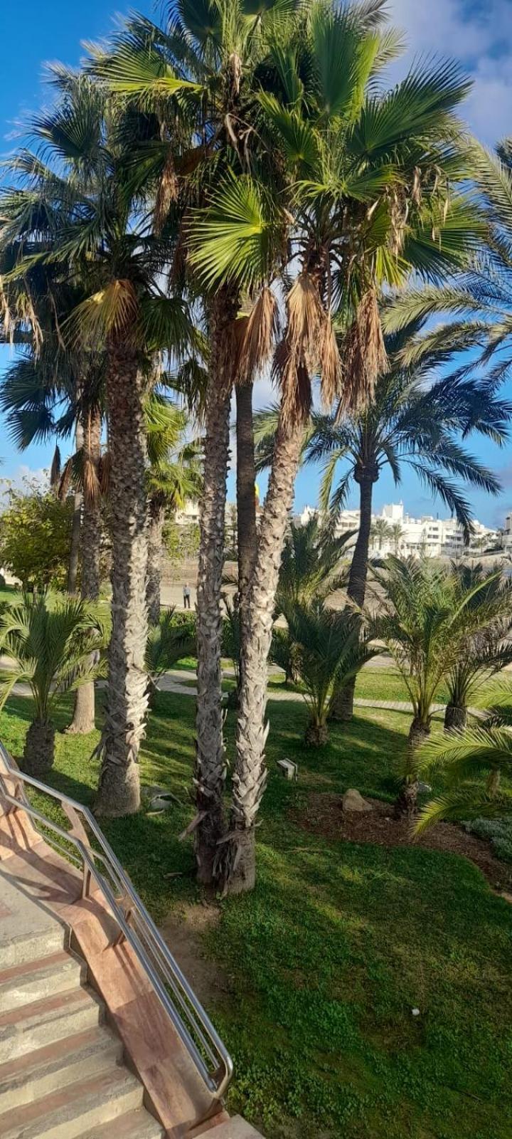 Apartamento Pepita Alay Benalmádena Exterior foto